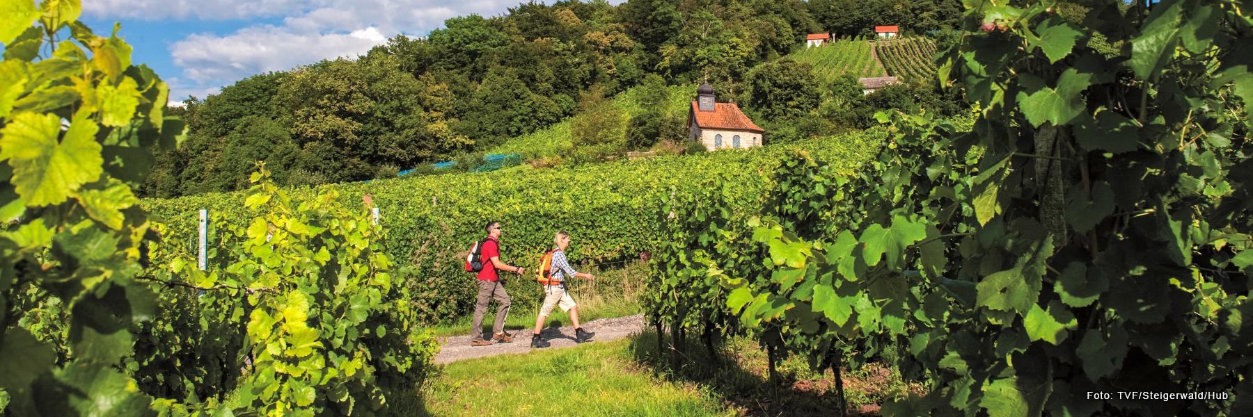 Kelten-Erlebnisweg (Fernwanderweg) - wanderkompass.de