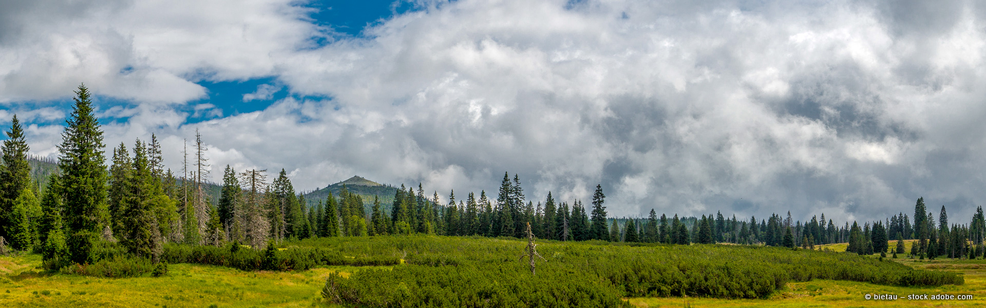 Hohenau - Wanderkompass.de