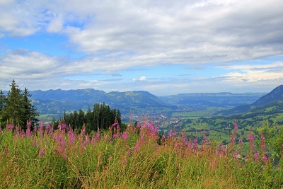 Maximiliansweg (Fernwanderweg) - Wanderkompass.de