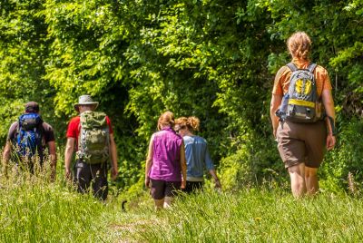 Bad Camberg - wanderkompass.de