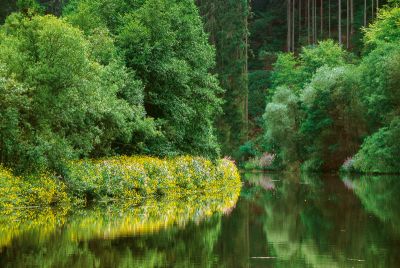 Der Ilztalwanderweg - wanderkompass.de